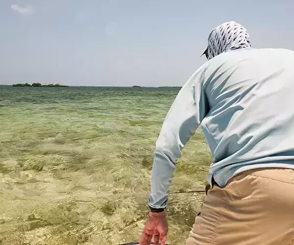 									Turneffe flats lodge flats fishing in Belize 1 of 1 24
															