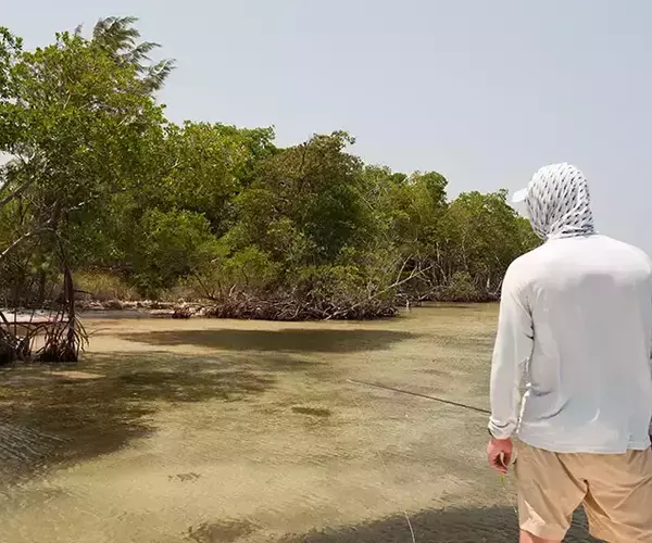 									Turneffe flats lodge flats fishing in Belize 1 of 1 26
															