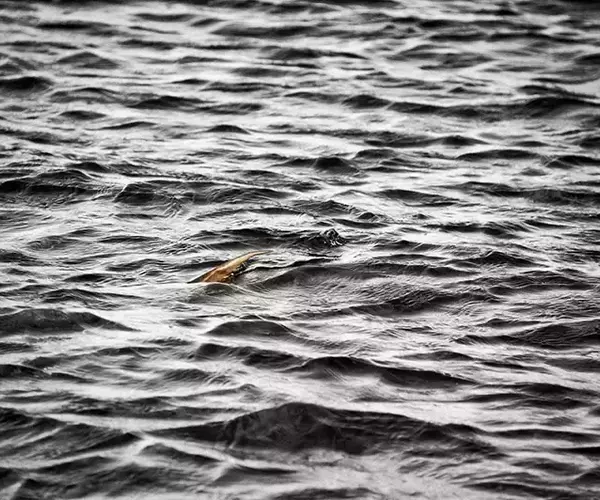 									Turneffe flats lodge flats fishing in Belize 1 of 1 3
															