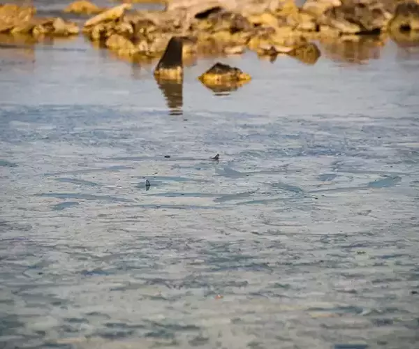 									Turneffe flats lodge flats fishing in Belize 1 of 1 6
															
