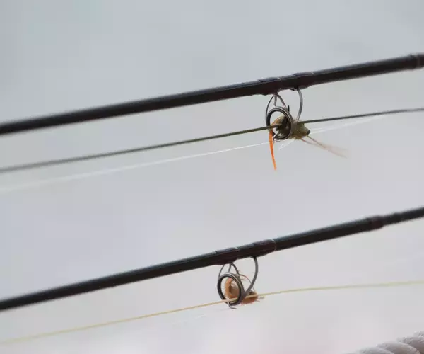 									Turneffe flats lodge flats fishing in Belize 1 of 1
															