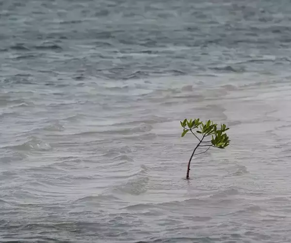 									Turneffe flats lodge flats fishing in Belize 100 of 610
															