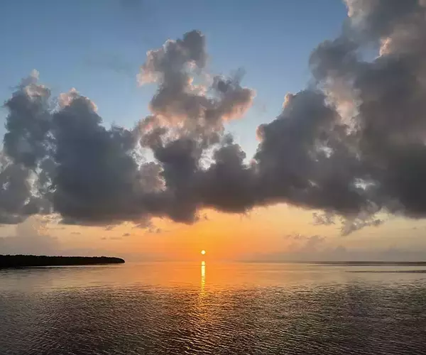 									Turneffe flats lodge morning glory
															
