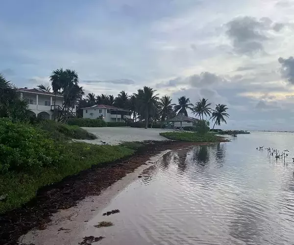 									Turneffe flats lodge
															