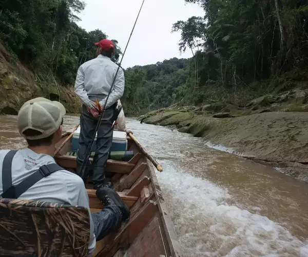 									Bolivia fly fishing 2014 cruising the secure
															