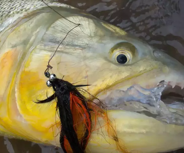 									Bolivia fly fishing 2014 fly and fish
															