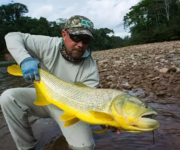 									Bolivia fly fishing 2014 golden dorado at pluma river lodge
															