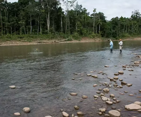 									Bolivia fly fishing 2014 pluma lodge wade angler
															