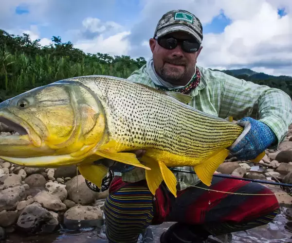 									Bolivia fly fishing 2014 pluma river dorado
															