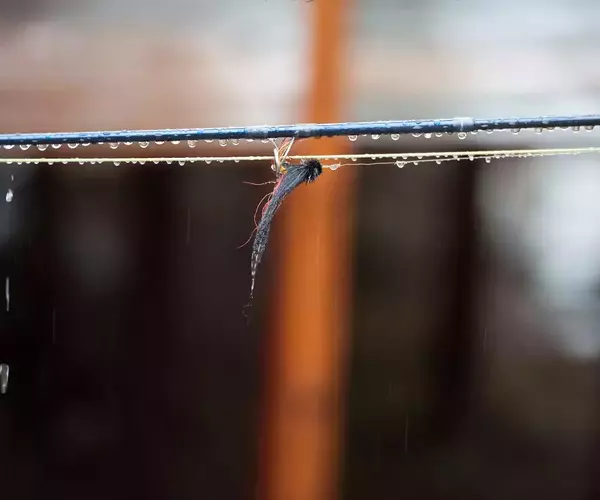 									Bolivia fly fishing 2014 rainy fly
															