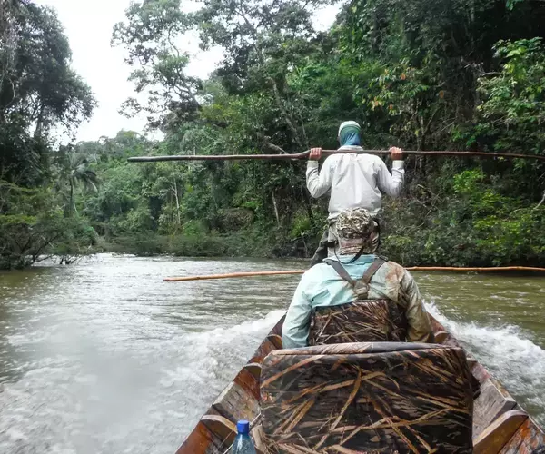 									Bolivia fly fishing 2014 running boat in jungle
															