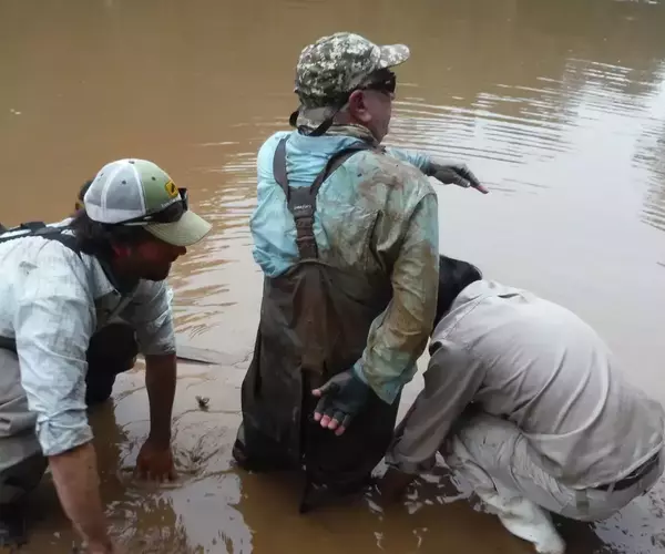 									Bolivia fly fishing 2014 whoops
															