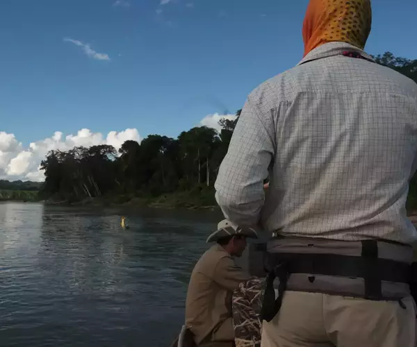 									Bolivia fly fishing secure pluma golden dorado
															