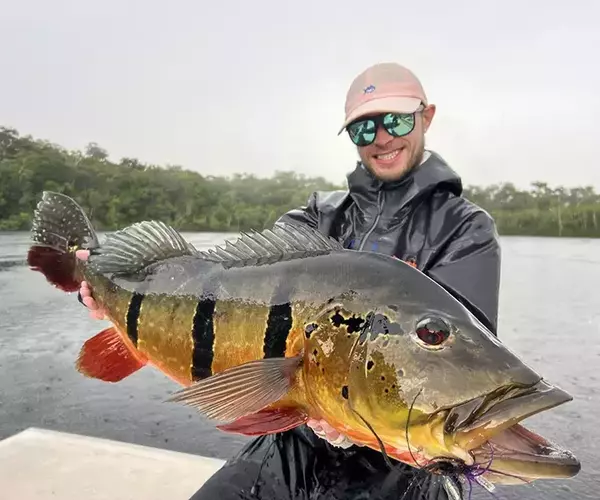 									Alex peacock bass fishing in brazil
															