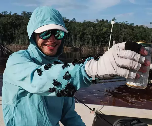 									Alex swank peacock bass fishing
															