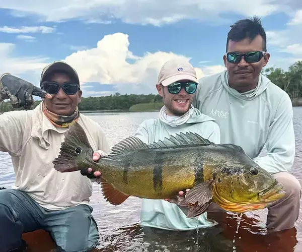 									Brazil peacock bass fishing at rio marie with jauquim
															