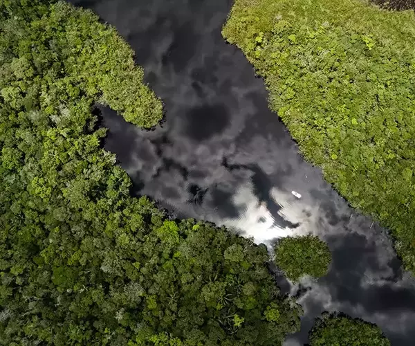 									Brazil peacock bass fishing lagoon
															