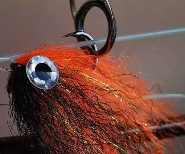 									Brazil peacock bass fly fishing rafa special
															