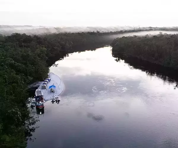 									Morning in the amazon fishing for peacock bass
															
