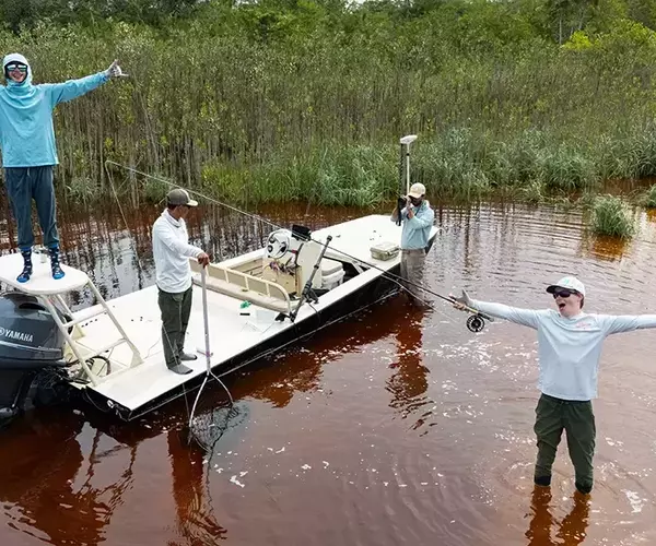 									Post245 pound celebration
															