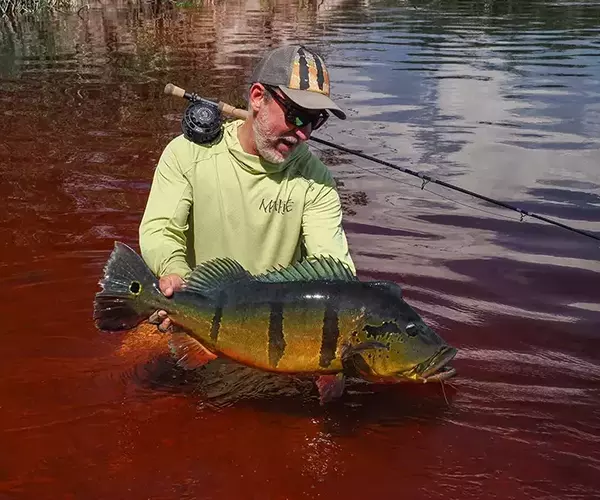 									Rodrigo salles peacock bass fly fishingin brazil
															