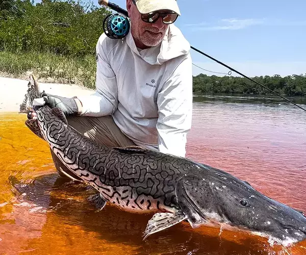 									Toby with brazil catfish
															
