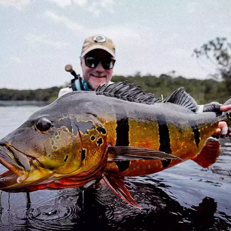 											20 pounder club rio marie 2025
																						