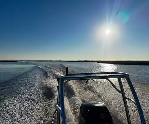 									Lousiana redfish fly fishing in cocodrie 10 of 33
															