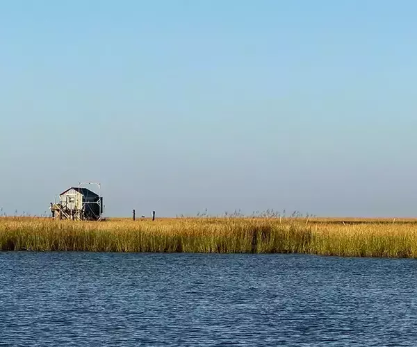 									Lousiana redfish fly fishing in cocodrie 11 of 33
															