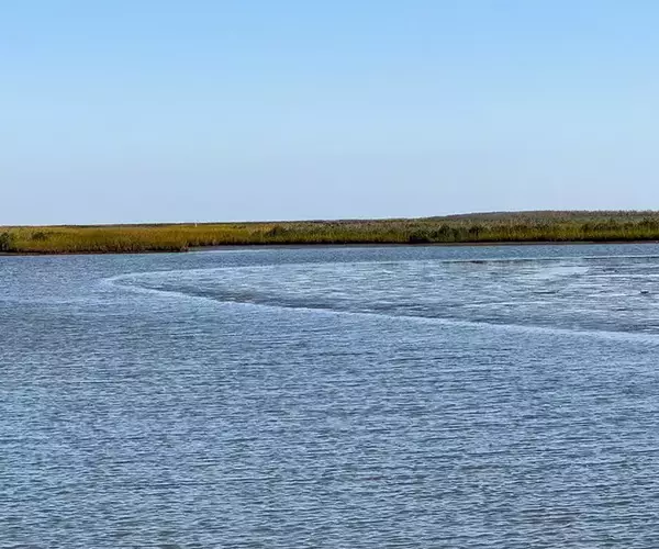 									Lousiana redfish fly fishing in cocodrie 12 of 33
															