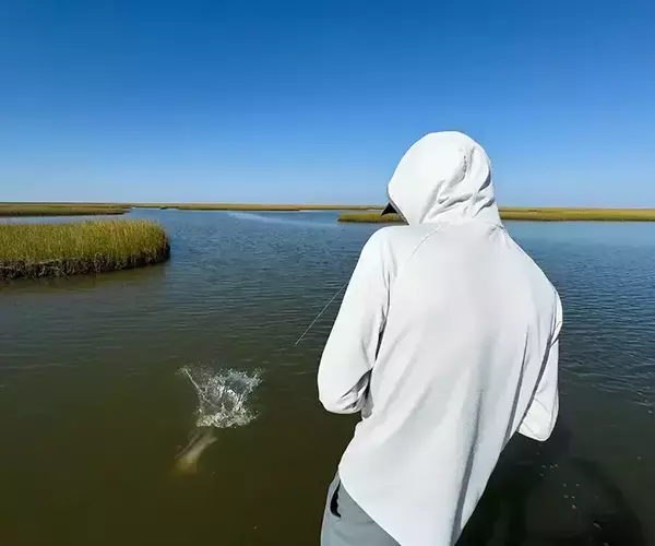 									Lousiana redfish fly fishing in cocodrie 15 of 33
															
