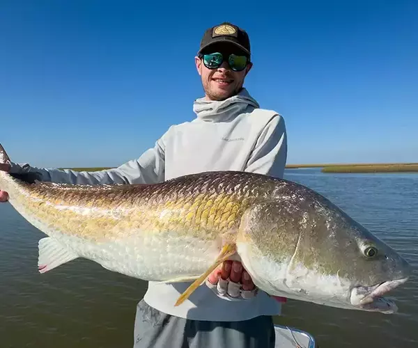 									Lousiana redfish fly fishing in cocodrie 16 of 33
															