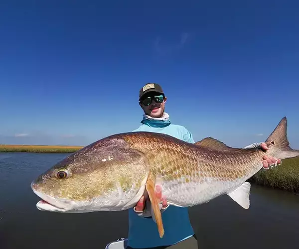 									Lousiana redfish fly fishing in cocodrie 19 of 33
															
