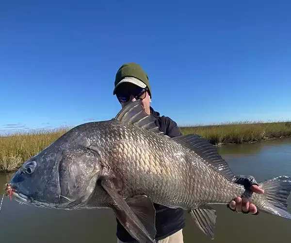 									Lousiana redfish fly fishing in cocodrie 23 of 33
															