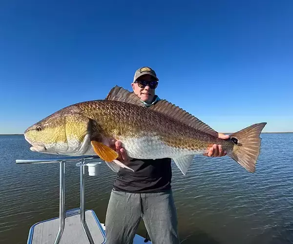 									Lousiana redfish fly fishing in cocodrie 26 of 33
															