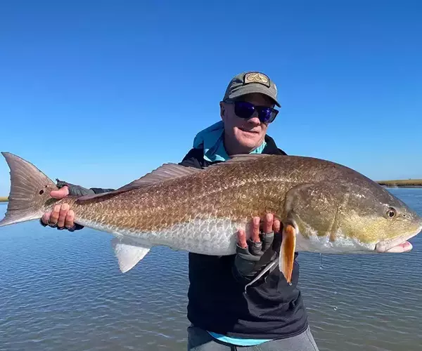 									Lousiana redfish fly fishing in cocodrie 28 of 33
															