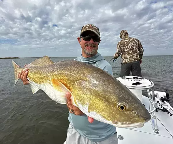 									Venice louisiaina redfish fly fishing another bull redfish double
															