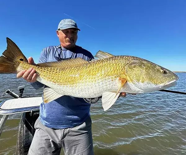 									Venice louisiaina redfish fly fishing big bull in hand
															
