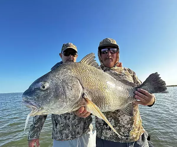 									Venice louisiaina redfish fly fishing black drum
															