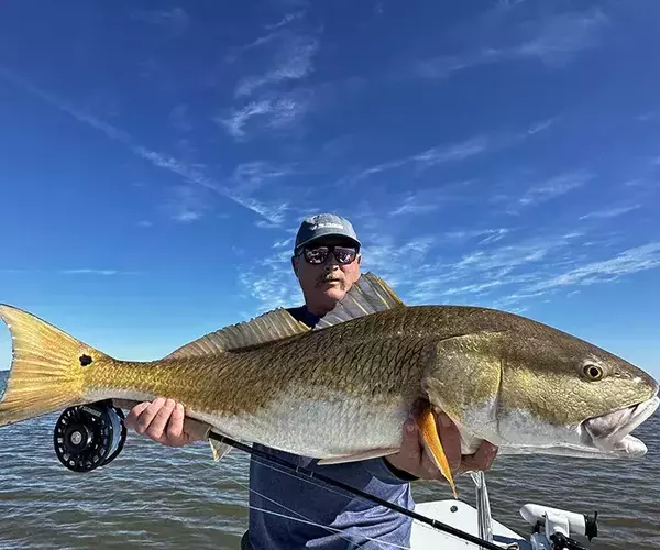 									Venice louisiaina redfish fly fishing bull with sage fly rod
															