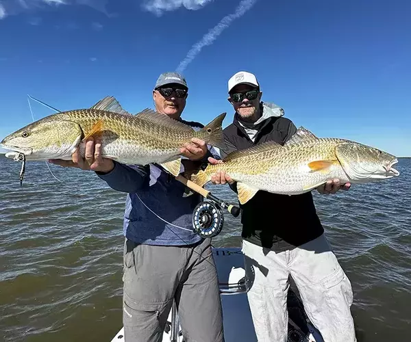 									Venice louisiaina redfish fly fishing double bulls
															