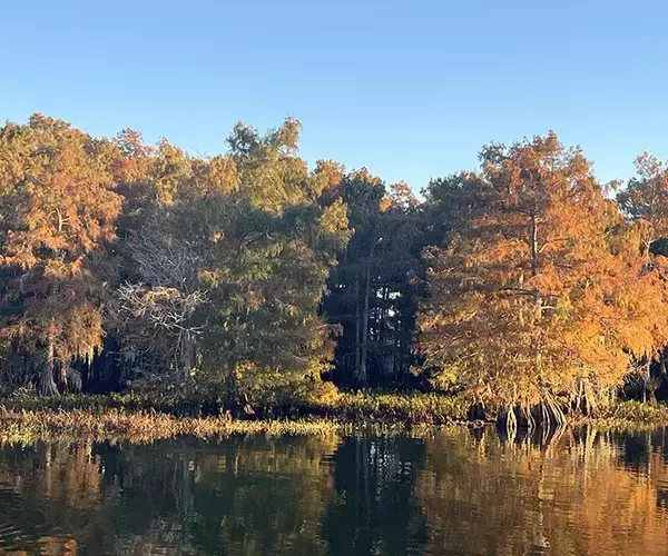 									Venice louisiaina redfish fly fishing fall colors
															