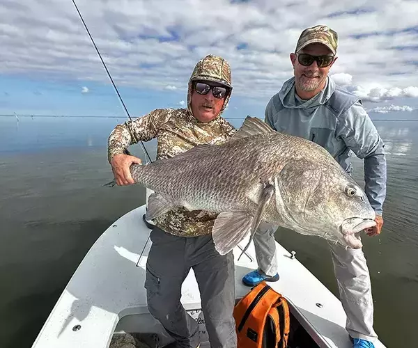 									Venice louisiaina redfish fly fishing huge black drum
															