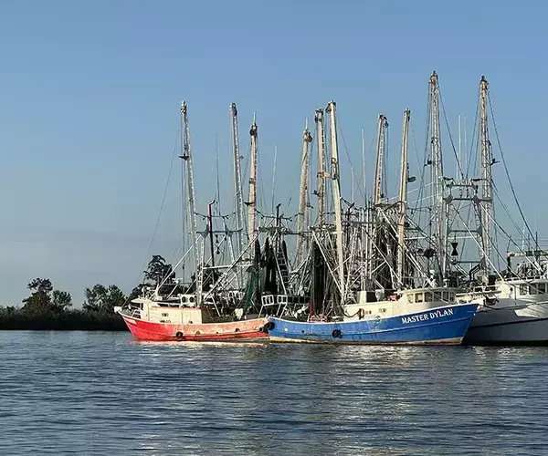 									Venice louisiaina redfish fly fishing shrimp boats
															