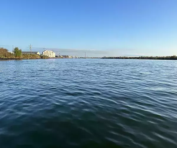 									Venice louisiaina redfish fly fishing town run
															