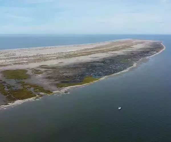 									Lousiana redfish fly fishing barrier island
															