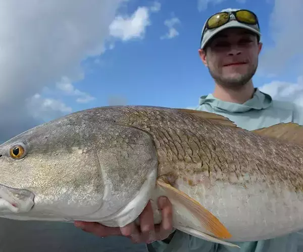 									Lousiana redfish fly fishing for bull reds
															
