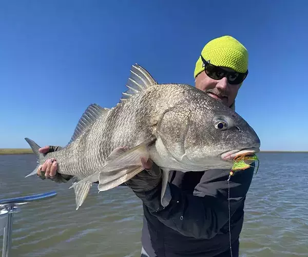 									Cocodrie louisiana black drum fly fishing
															