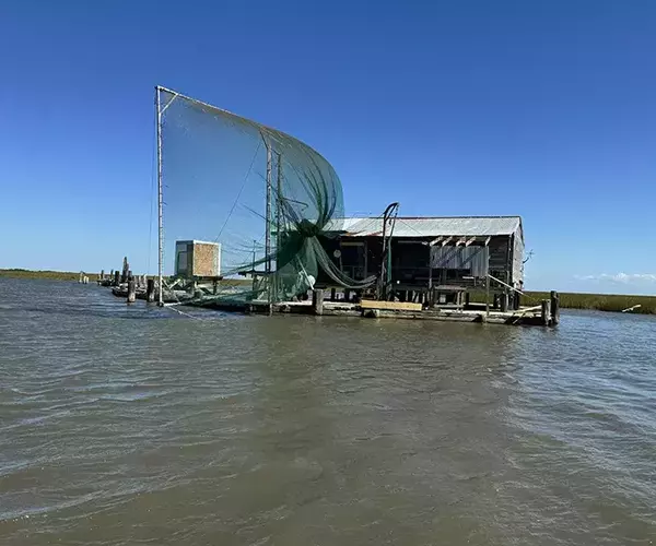 									Cocodrie louisiana fly fishing shrimp boat net
															