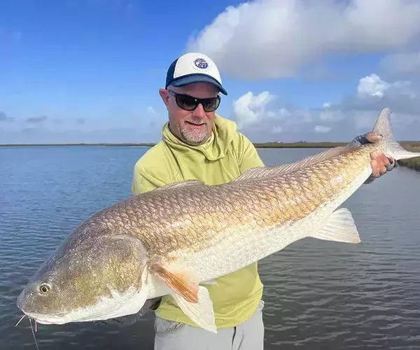 									Cocodrie louisiana redfish fly fishing big bull redfish
															